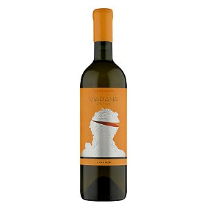 Viapiana Vinho Laranja  Exóticos Gros Manseng 2021