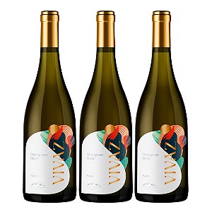 Kit Monte Agudo Vinho Branco Vivaz Sauvignon Blanc 2022