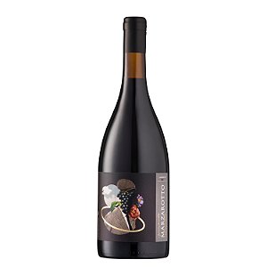 Marzarotto Vinho Tinto Gran Reserva Cabernet Franc 2023
