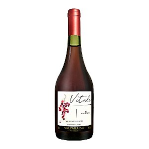 Valparaíso Vinho Tinto Pinot Noir Premium