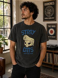 STRAY CATS