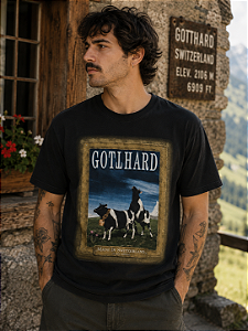 GOTTHARD E 293