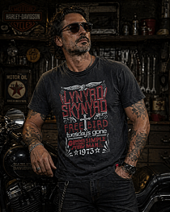 LYNYRD SKYNYRD - SIMPLE MAN