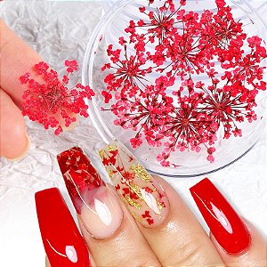Flor Seca Decoração Nail Arte Sortida Natural Enfeite