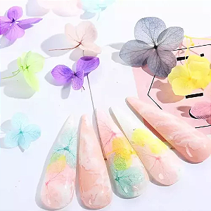 Flor Seca Grande Decoração Nail Arte Sortida Natural Enfeite