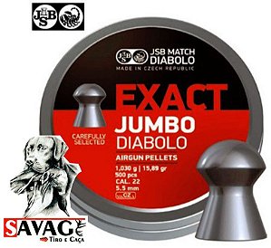 Chumbinho 5.5 + Alvos Brinde Jsb Exact Jumbo 15,89gr 500pcs