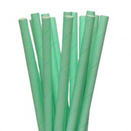 Canudo de Papel Verde Água - 20 Unds