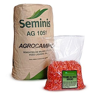 Semente De Milho 1051 Seminis Ideal Para Milho Verde 100 sementes