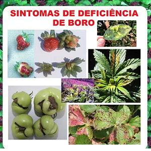 25 kg ácido bórico - pacote lacrado *** PROMOÇÃO***