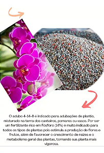 5 KG - Adubo 4-14-8 **PROMOÇÃO**