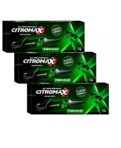 Seringa Remedio Mata Formigas Em Gel Kit Com 3 Caixas