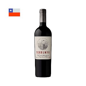 Vinho Terrunyo Carménère 2017 750ml