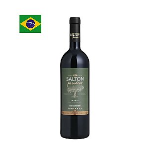Vinho Salton Paradoxo Tannat 750ml