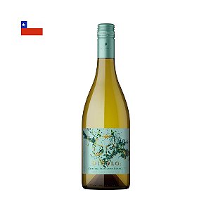 Vinho Diablo Sauvignon Blanc Safra 2025 750ml