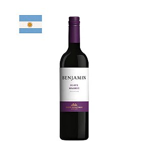 Vinho Benjamin Nieto Malbec Suave 750ml