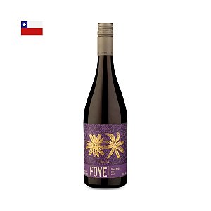Vinho Foye Reserva Pinot Noir 2024
