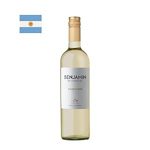 Vinho Benjamin Nieto Torrontés 750ml
