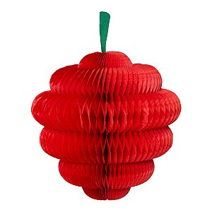 Vermelho - Fruta Framboesa