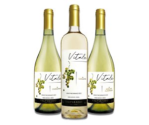 Kit Vinhos Brancos 3 un
