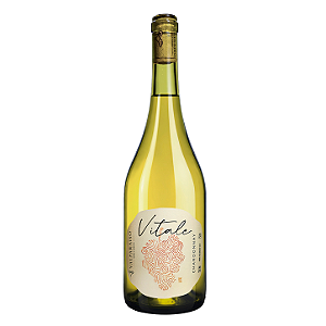 Valparaiso Vitale - Vinho Fino Branco Seco - Chardonnay - 750ml