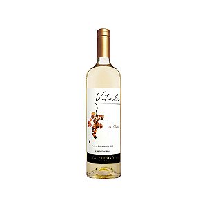 Valparaiso Vitale - Vinho Fino Branco Seco - Garganega - 750ml