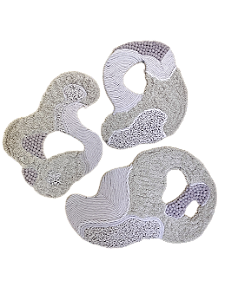 Trio de Esculturas Blooming Organic