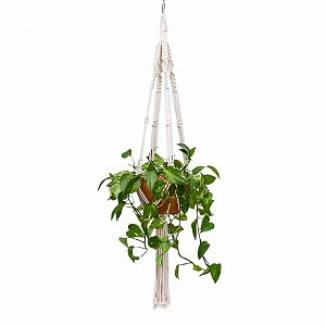 Mega Hanger
