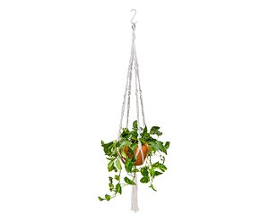 Super Hanger