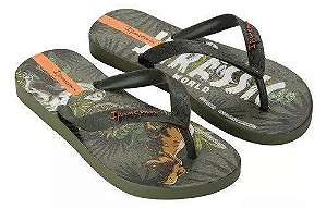 Chinelo Ipanema Verde/verde/laranja