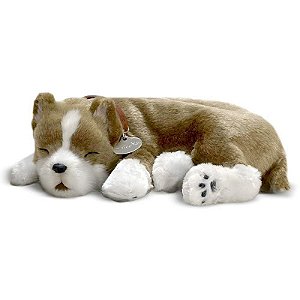 Perfect Petzzz Filhote Cachorro Pit Bull