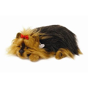 Perfect Petzzz Filhote Cachorro Yorkshire