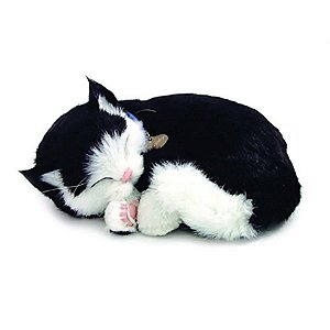 Perfect Petzzz Filhote Gato Black E White Shorthair