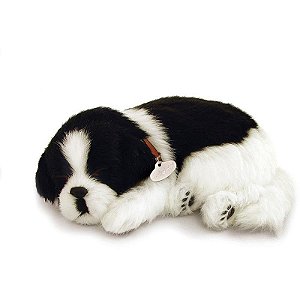 Perfect Petzzz Filhote Cachorro Border Collie