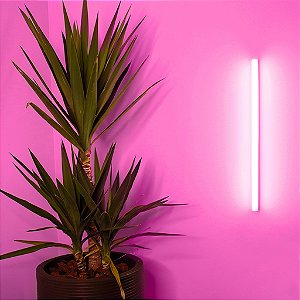 TUBULAR LED 9w 60CM Bivolt ROSA T8LC-360