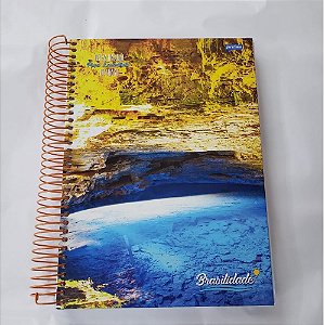 Caderno Espiral Universitário 280 Folhas 20 Matérias Brasilidade - Jandaia