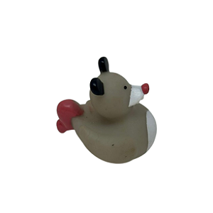 Pato Ratinho