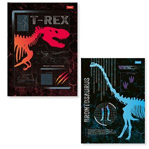 CADERNO FORONI BROCHURÃO CAPA DURA SAUROS 92996-P (CORES SORTIDAS)