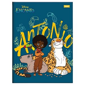 CADERNO FORONI BROCHURÃO CAPA DURA ENCANTO 2751-P (CORES SORTIDAS)