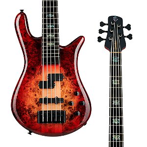 Contrabaixo Spector Euro CST 5 Natural Red Burst