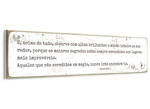 PLACA TEXTO RETANGULAR E, ACIMA DE TUDO, OBSERVE