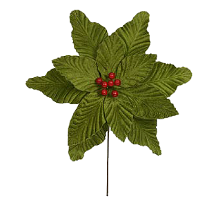 H.Bico Papagaio Florarte Verde