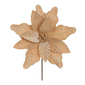 H.Bico Papagaio Florarte Creme