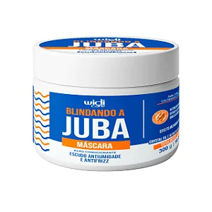 Creme De Tratamento Widi Care Blindando A Juba 300G