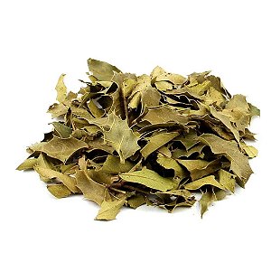 Chá Espinheira Santa 15g