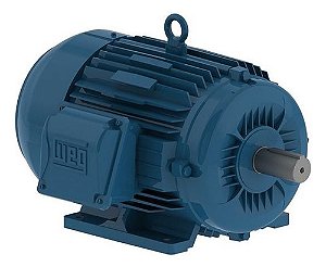 Motor Elétrico Trifásico 0,5cv 4p Weg 220/380v Blindado