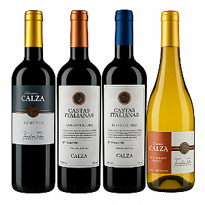 Seleção da Lançamentos 2025 + 1 Grf 365 Ml de um Vinho Reserva da Família