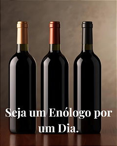 Experiência “Seja um Enólogo por um Dia"