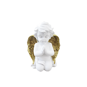 ANJO DE RESINA R17D-B