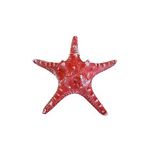 ESTRELA MOD2 GRANDE CORAL