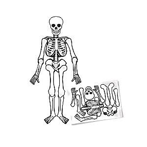 Esqueleto Articulado Decorativo Halloween Médio 1,20m